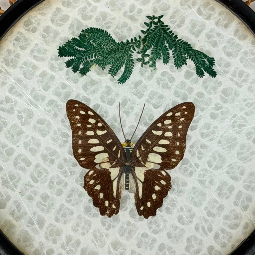 Vintage Basket Jetline Japan Rattan Bamboo‎ Lucite Butterfly Floral Boho Cottage
